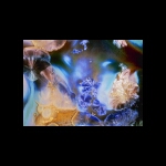 Heart of Opal detail 6x8 in.jpg